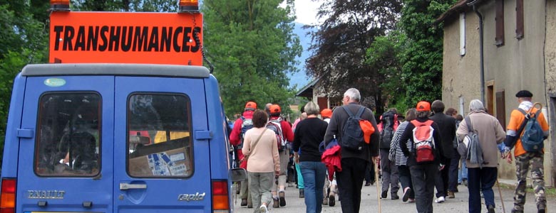 Voiture et marcheurs suivant la transhumance